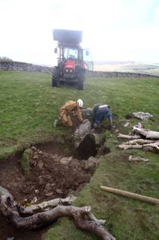 Opening Shaw Pasture Pot