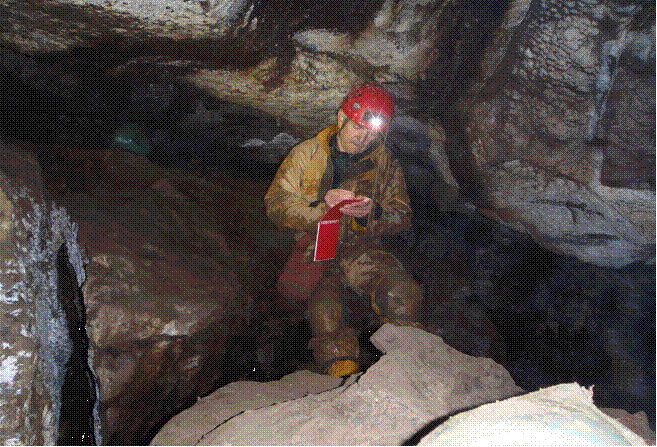 Ray surveying.jpg